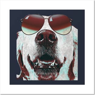 White dog wearing sunglasses Posters and Art